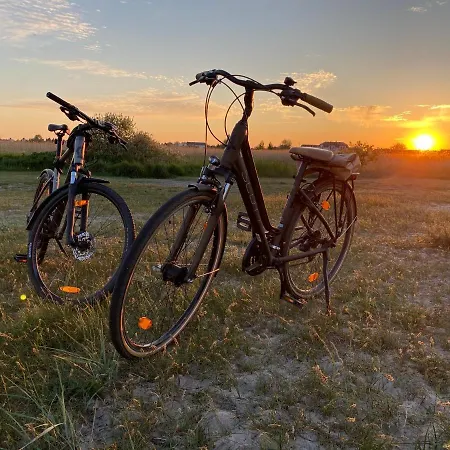 Goscinne Habitación en casa particular Rewa